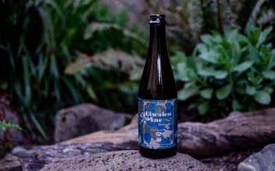 Von Ebert Brewing Releases Blameless Muse Heritage Beer Made With Foraged Oregon Ingredients