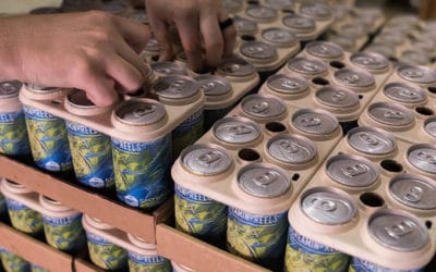 Celebrating Eco-Friendly Practices of Craft Breweries on Earth Day