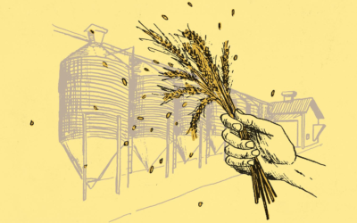 Welcome to Fringe Division — The Innovative Malting Technology That’s Producing Better Beer