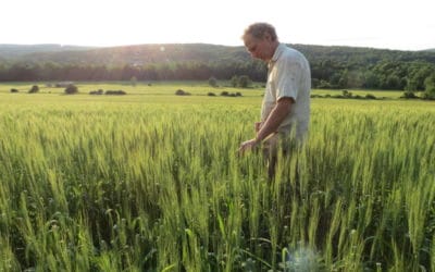 The Beer, Booze, And Bread Community  Is Organizing a ‘Northeast Grain Shed’