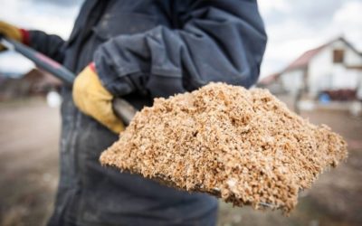 From brewery to farm: Using spent grain for livestock feed and lessons learned from Farmer John