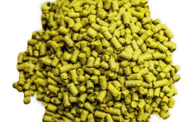 Elements of Beer: Recycling Hops in the Brewhouse