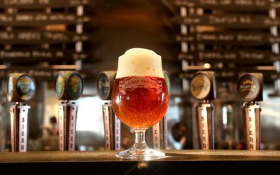 How Beer Brewers are Embracing Sustainability