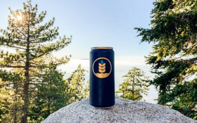 Pure Project Brewing to Plant More Than 150,000 Trees