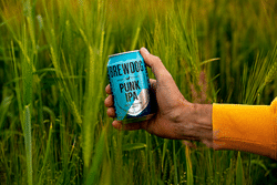 BrewDog USA Opens Its Final Round of Equity For Punks With 100% of Proceeds Committed to Sustainability Projects