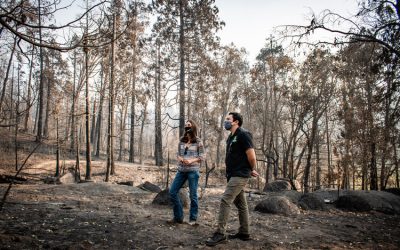 Tioga-Sequoia Brewing Company Targets “1% for the Planet” Donations to Creek Fire Recovery Efforts