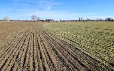 Support Local Agriculture This Colorado Gives Day Through 100 Year Lease