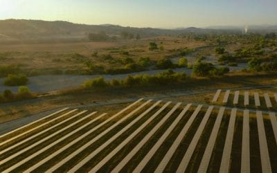 Duke Energy, Firestone Walker Complete One of the Largest On-site Solar Arrays in the Craft Beer Industry