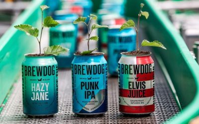 BrewDog Launches Buy One Get One Tree Initiative