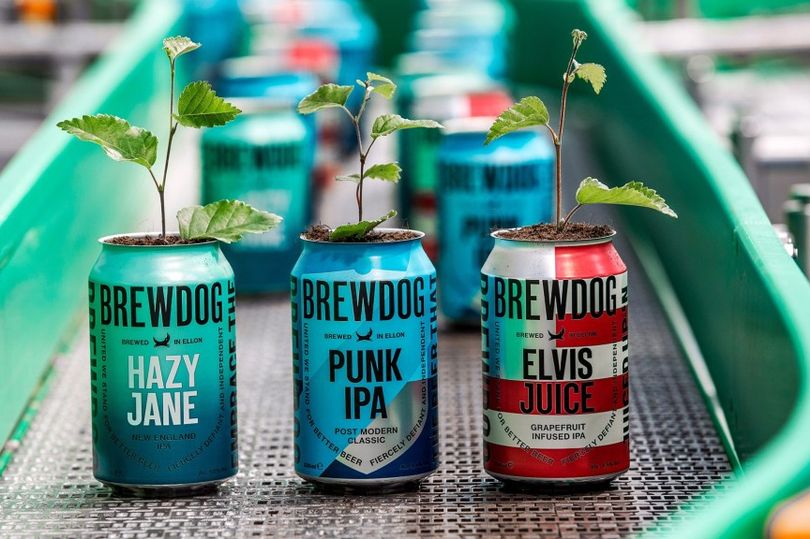 BrewDog Launches Buy One Get One Tree Initiative