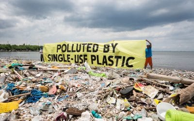 Nine States to Hold Plastic Packaging Producers Responsible Through EPR Laws