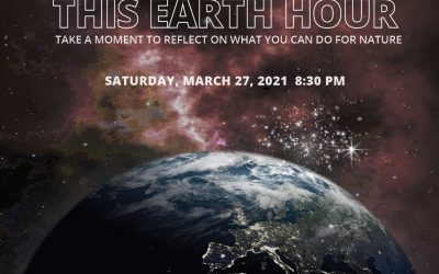 Earth Hour 2021 Shines a Spotlight on Perilous State of the Planet, Calling for Urgent Action to Set Nature on Path of Recovery