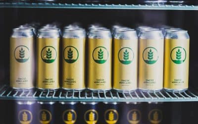Most Plastic Packaging Never Gets Recycled, But There Are Sustainable Alternatives for Craft Brewers