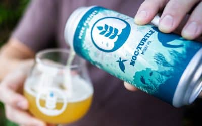 Pure Project Partners with WILDCOAST to Support Sea Turtle Conservation